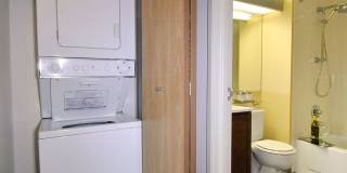 The Millie on Brush The Millie on Brush Gallery 11