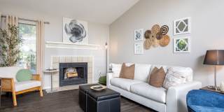 Lakeshore Apartments Gallery 3