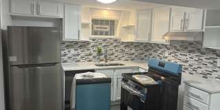 544 W Cullerton Avenue Gallery 5