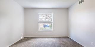 Corinth Paddock Gallery 17