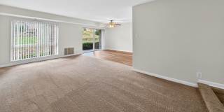 The Forest Apartments Gallery 18