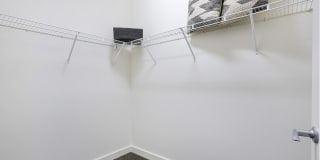 Arrive Lex Gallery 35