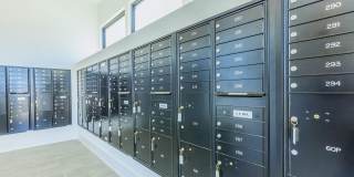 Windsor at Manhattan Gallery 91