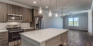 Discovery at the Realm Gallery 1