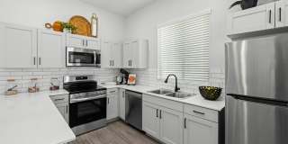 Canopy at Sundance Gallery 56