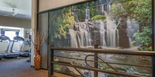 156 Falls Court Gallery 24