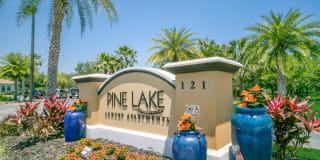 Pine Lake Gallery 30
