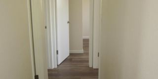 305 Corvena Way Gallery 38
