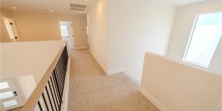 10536 Grand Wash Court Gallery 19