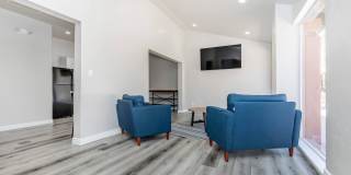 Standard Raintree Standard Raintree Gallery 17
