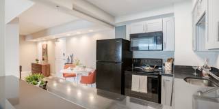 Dream Space Coast Gallery 4