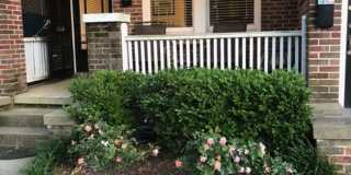 2 bedroom / 1 bath ~ Downtown Charleston Gallery 1