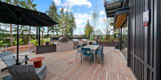 The Piper Gallery 36