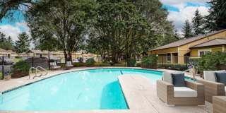 Harbor Oaks Harbor Oaks Gallery 15