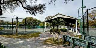 8705 Palm Tree Lane Gallery 26
