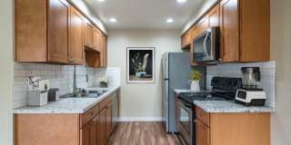 Del Mar Village Apartments Gallery 4