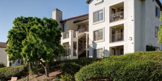 Avalon La Jolla Colony Gallery 36