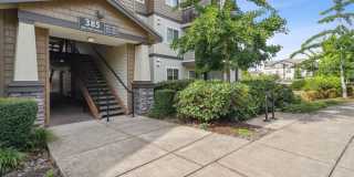 Sofi at Cedar Mill Gallery 38