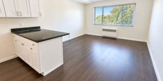 Park Manor Gallery 1