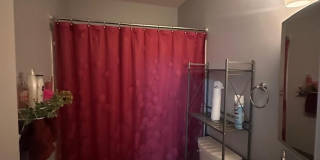 3142 QUARTET Lane unit: 255 Gallery 13