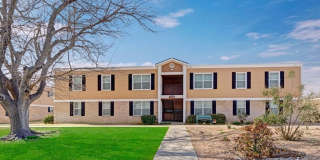 Golden Crest Gallery 21