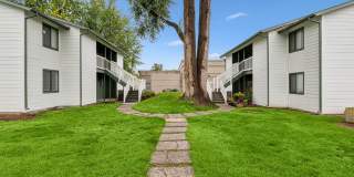 Shannon South Gallery 25