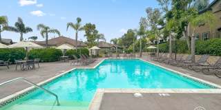 Welcoming 2B/2BA Condo with Balcony, In-Unit Laundry and Pool Access. Gallery 22