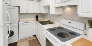 1/1 Lakefront Living in Carrollwood! Available July 10th! Gallery 8