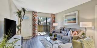 Park Pointe Gallery 10