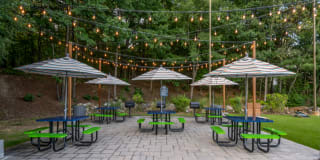 Halstead Countryside Gallery 17