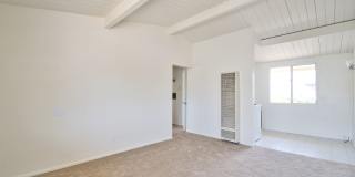 t2504 Gallery 4