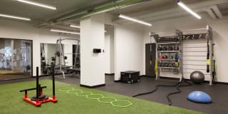 Regents Park Gallery 5