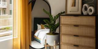 Fellow at Fitz Gallery 39