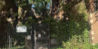 5463 S Ingleside Avenue Gallery 1