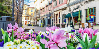 Pavona Apartments Pavona Apartments Gallery 37