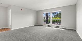 The Aviator apartments Gallery 53
