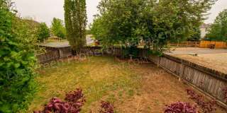 Beautiful 3 bed, 2 bath in Provincetown - Fort Collins Gallery 31