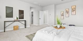 230 Steven Bridges Gallery 19