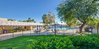 Beautiful 55+ Ahwatukee neighborhood spacious 2/br 2/ba home -  Rent Includes membership to Ahwatukee Recreation Center Gallery 36