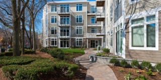 7 Cameron Gallery 2