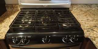 14661 GINGER KERRICK Gallery 6