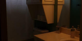 Pets Negotiable with Owner Approval! Gallery 25