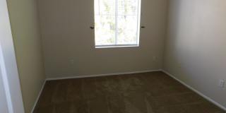 Watermarke Condo 1bed 1 bath Gallery 16