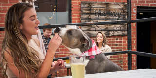 Novel Cary Gallery 69