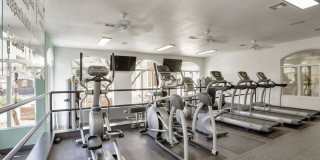 Noble Park Apartments Gallery 16