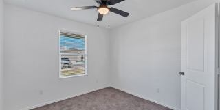 332 Elephants Ear Gallery 18