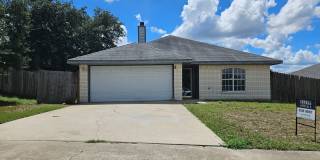 AVAILABLE NOW! Gallery 1