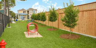 Clearwater Creek Gallery 25