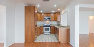 23551 Venisia Gallery 10