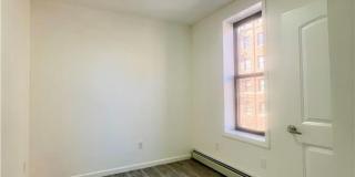 186 Erasmus Street Gallery 9